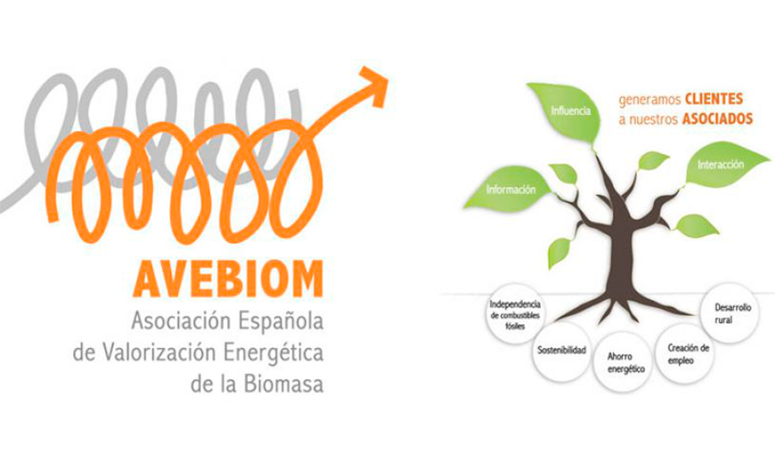 AVEBIOM supports Effie Efficiency